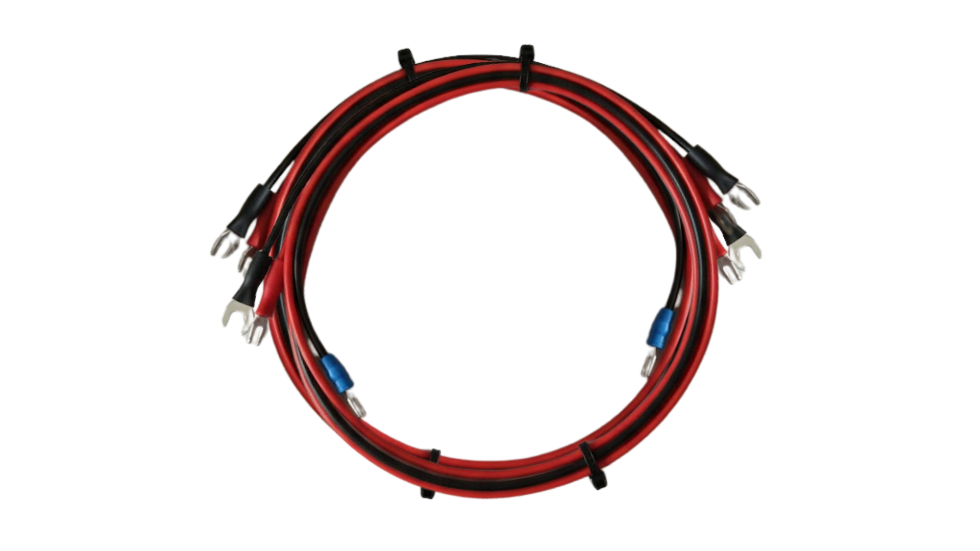Cable with red and black wires and connectors on a white background